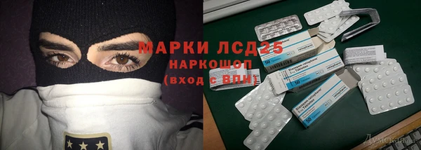 ГАЛЛЮЦИНОГЕННЫЕ ГРИБЫ Липки