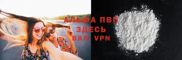 ПСИЛОЦИБИНОВЫЕ ГРИБЫ Лихославль