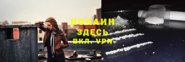 ГАЛЛЮЦИНОГЕННЫЕ ГРИБЫ Липки