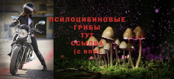 ГАЛЛЮЦИНОГЕННЫЕ ГРИБЫ Липки