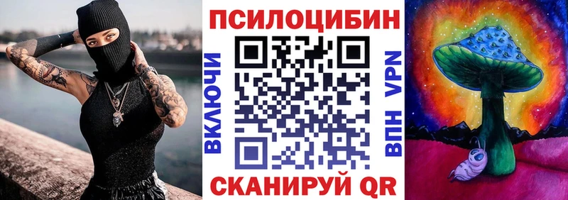 Псилоцибиновые грибы Psilocybine cubensis Циолковский